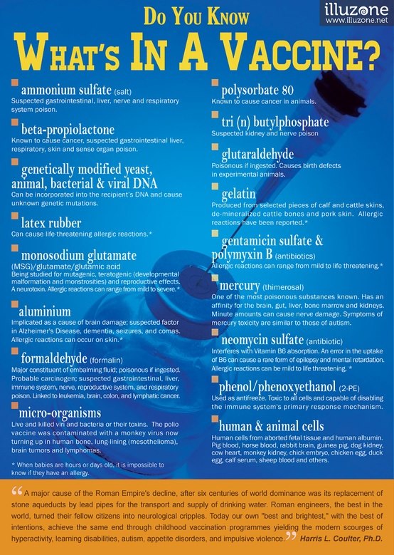 What's in a vaccine?